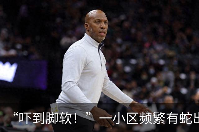 “吓到脚软！”一小区频繁有蛇出没，还有眼镜蛇；专家：居住区垃圾为蛇类间接提供食物