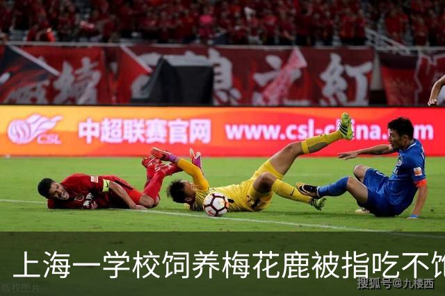 上海一学校饲养梅花鹿被指吃不饱、浑身是伤，多方回应：它吃得比我们都好，近期将送走