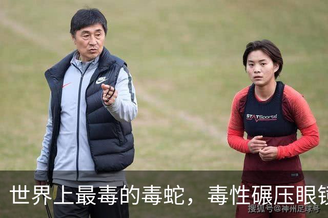 世界上最毒的毒蛇，毒性碾压眼镜王蛇，为什么被称为“最安全的蛇”？它的致死率为0？