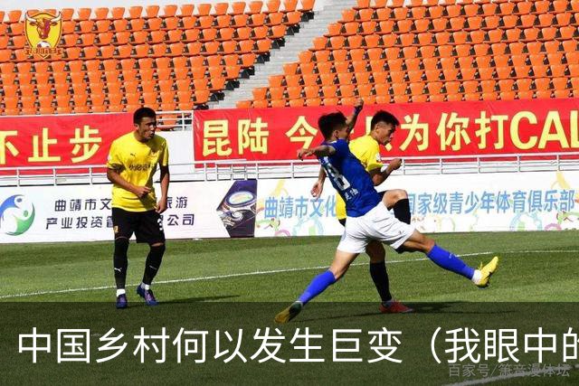 中国乡村何以发生巨变（我眼中的中国）