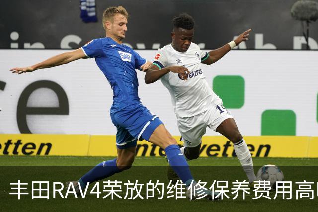 丰田RAV4荣放的维修保养费用高吗