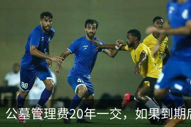 公墓管理费20年一交，如果到期后子孙不续费，那先人该何去何从？