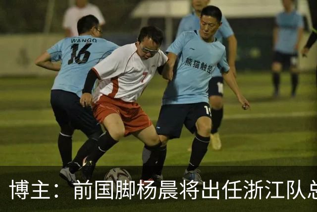 博主：前国脚杨晨将出任浙江队总经理