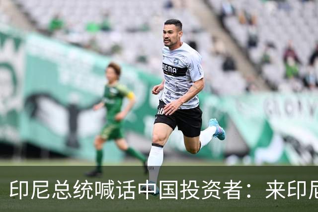 印尼总统喊话中国投资者：来印尼，我把你当家人！
