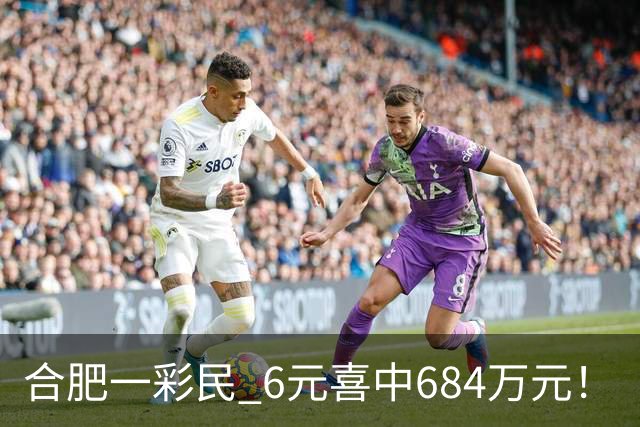 合肥一彩民 6元喜中684万元！