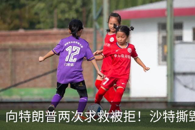 向特朗普两次求救被拒！沙特撕毁中方项目，转身砸243 亿拿下 大