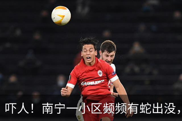 吓人！南宁一小区频频有蛇出没，业主：带孩子在楼下玩耍都提心吊胆！