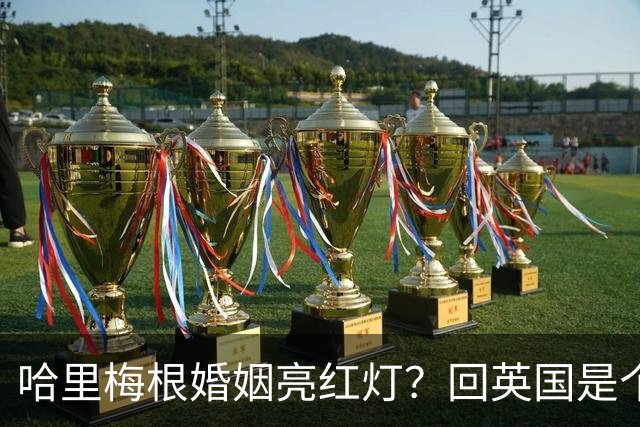 哈里梅根婚姻亮红灯？回英国是个危险信号