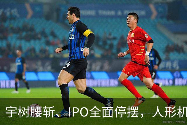 宇树腰斩、IPO全面停摆，人形机器人泡沫破了？