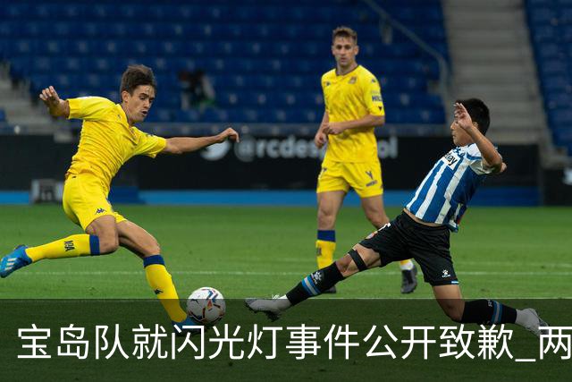 宝岛队就闪光灯事件公开致歉 两小球员坐实关键时刻干扰松岛辉空