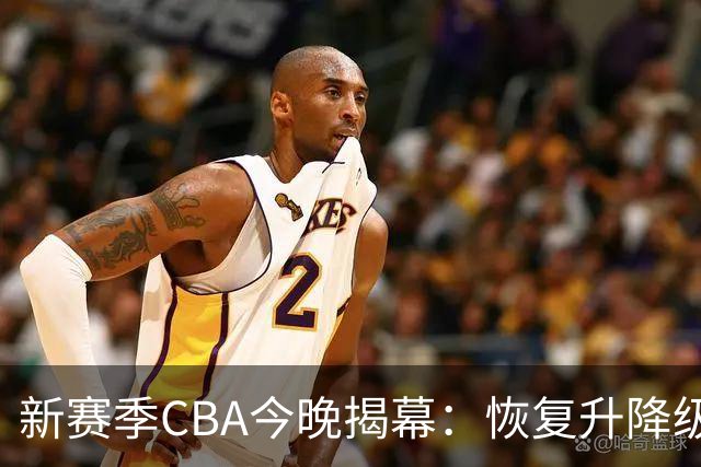 新赛季CBA今晚揭幕：恢复升降级，沪京之争成争冠焦点