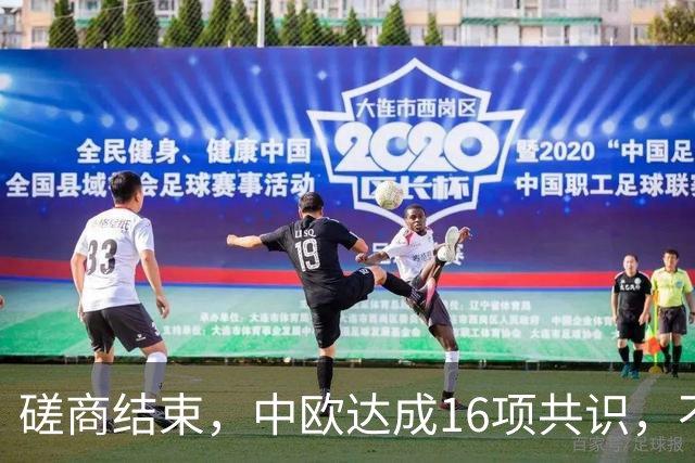 磋商结束，中欧达成16项共识，不到24小时，欧洲议会又出招了
