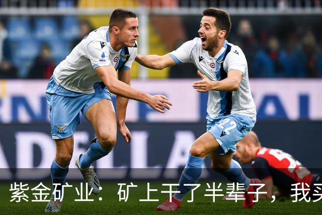 紫金矿业：矿上干了半辈子，我买金矿当存钱