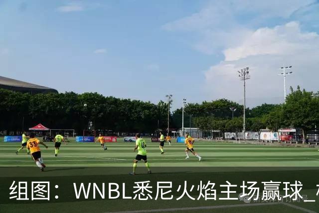 组图：WNBL悉尼火焰主场赢球 杨舒予与队友庆祝胜利
