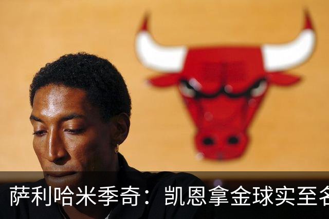 萨利哈米季奇：凯恩拿金球实至名归，盼他带欧冠回慕尼黑