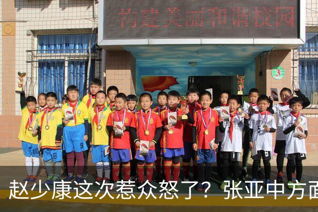 赵少康这次惹众怒了？张亚中方面直接翻旧账，郑丽文格局高下立判