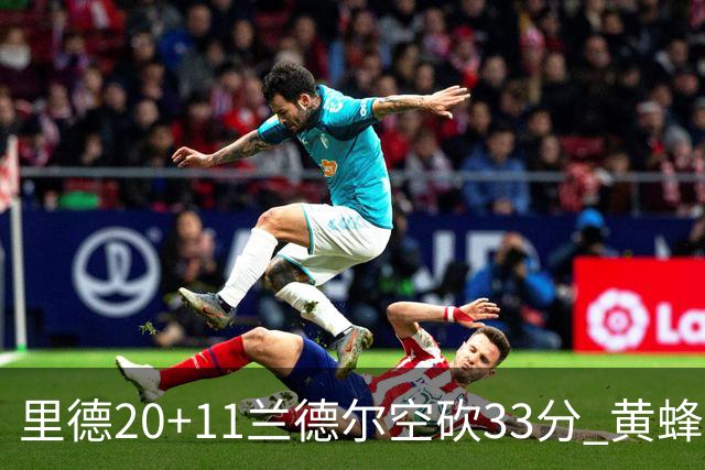 里德20+11兰德尔空砍33分 黄蜂险胜篮网