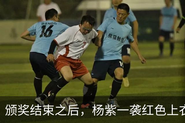 颁奖结束之后，杨紫一袭红色上衣连夜赶回北京，第二天卡点发文