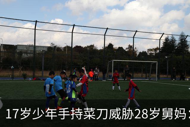 17岁少年手持菜刀威胁28岁舅妈：“让我睡一次，不然死给你看！”