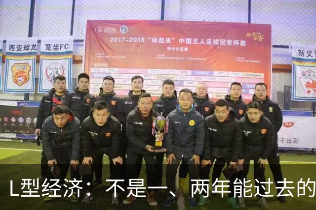 L型经济：不是一、两年能过去的